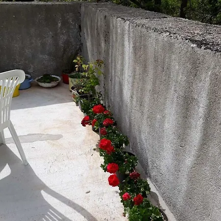 Apartman Milica Golubic  Exterior photo